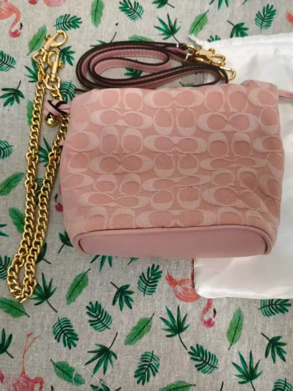 Coach feminine mini